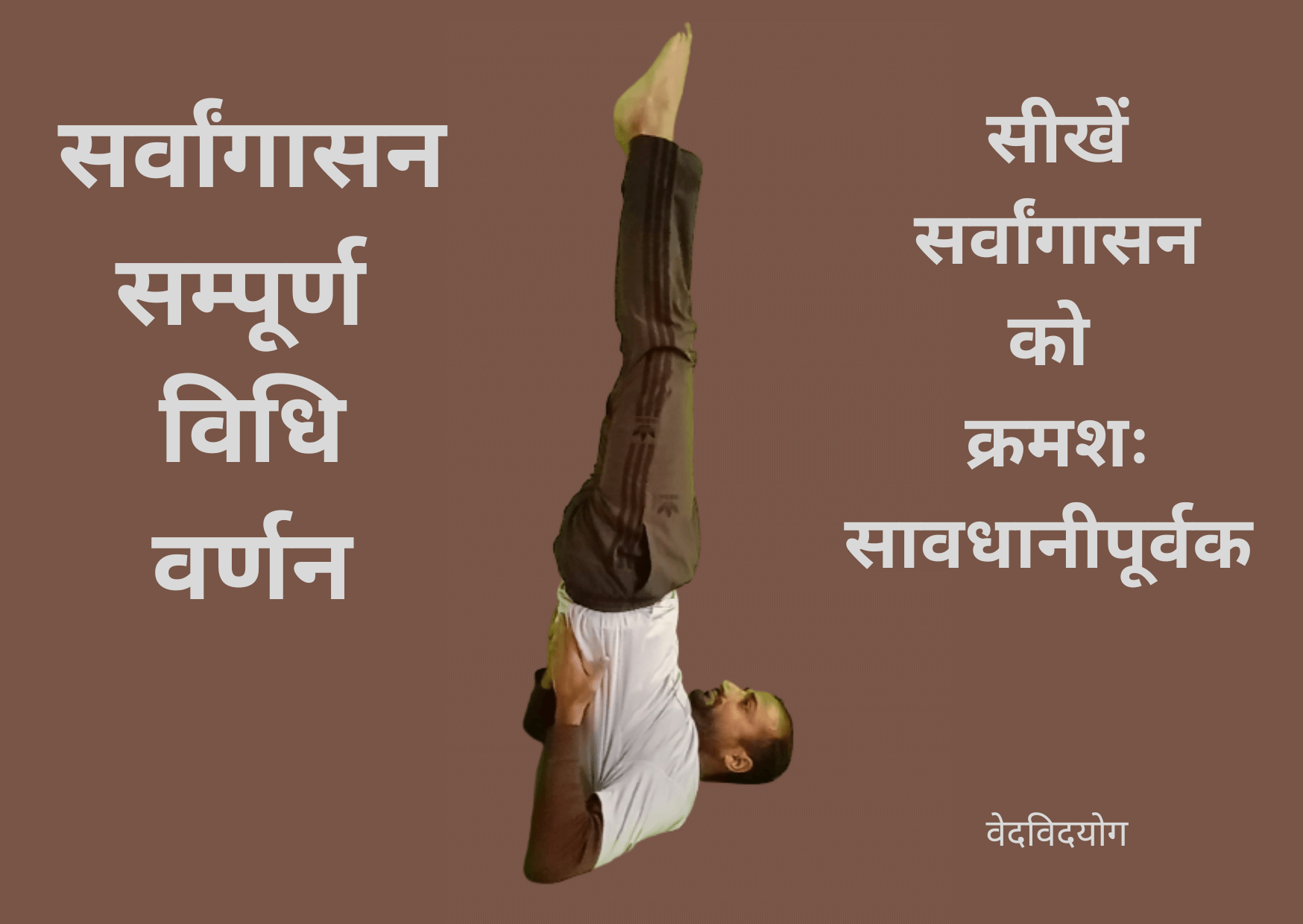 Read more about the article sarvangasana