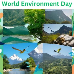 World Environment Day (1)